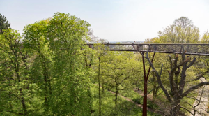 Kew treetop walkway wide shot